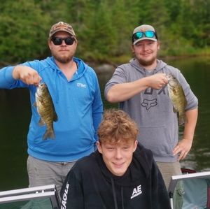 Meet your Posher, Donovan